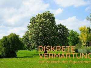 chestnut-tree-3390928_1920-diskrete-Vermarktung